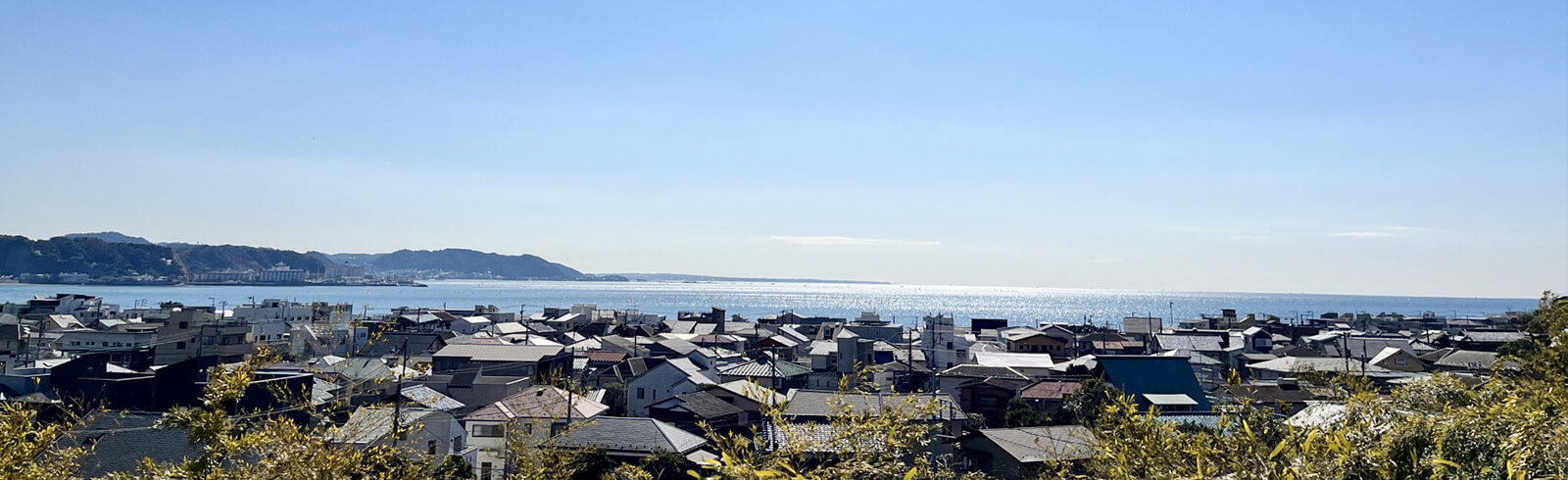 プライバシーポリシー